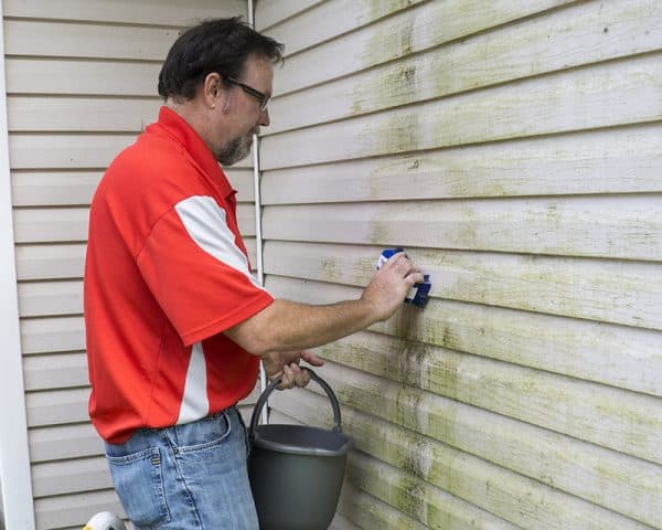 Vinyl Siding Mold Removal Tips: The Ultimate Homeowner’s Guide