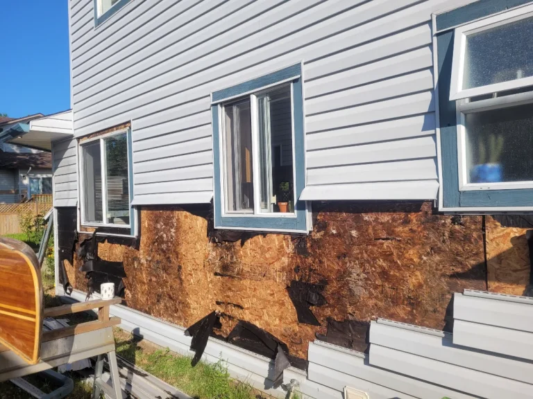 15 Critical Signs of Water Damage Under Siding You Cannot Ignore